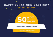 lunar new year 2017 sale