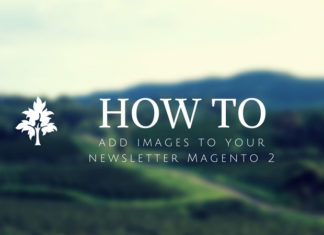 How to add images to your newsletter Magento 2