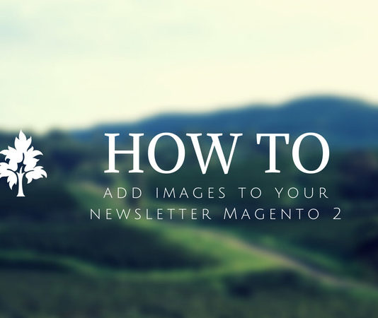 How to add images to your newsletter Magento 2