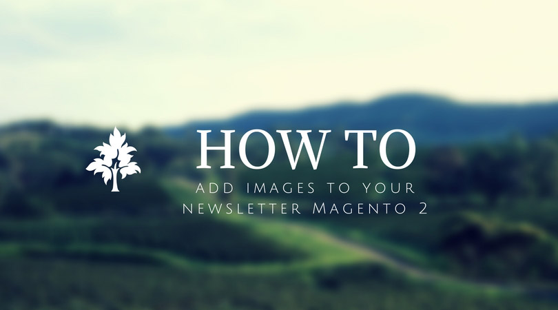 How to add images to your newsletter Magento 2