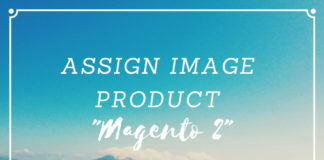 assign image product magento 2