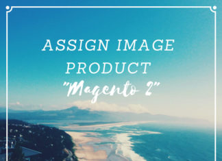 assign image product magento 2