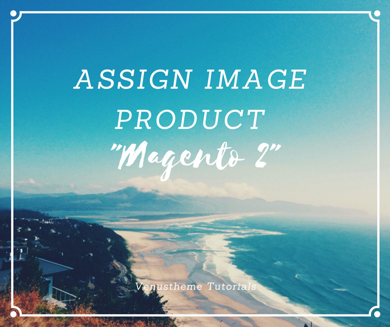 assign image product magento 2