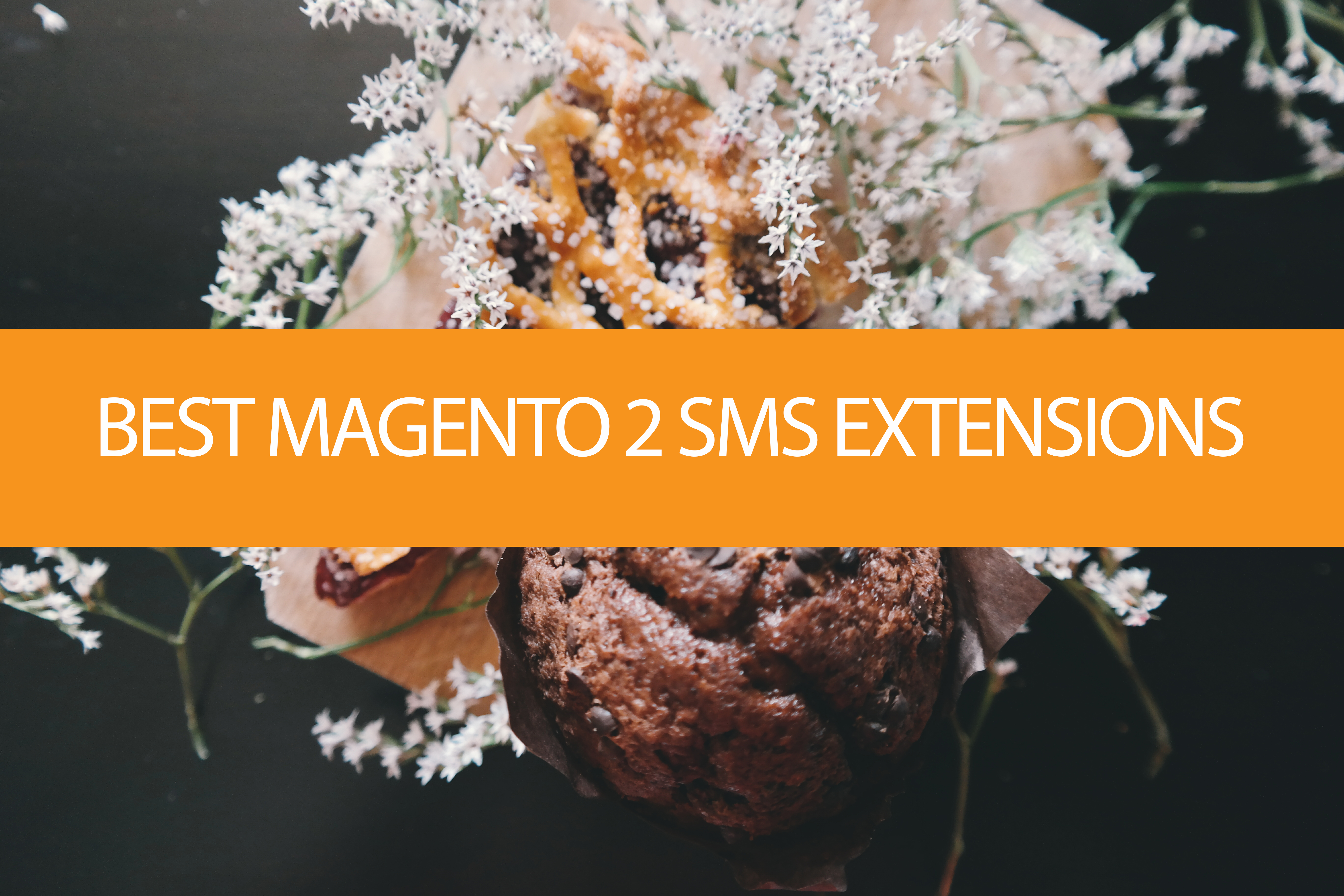 best magento 2 sms extension