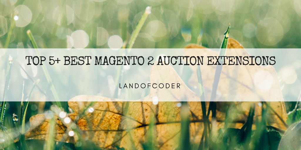 TOP 5+ BEST MAGENTO 2 AUCTION EXTENSIONS