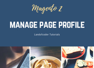 manage magento 2 page profile feature