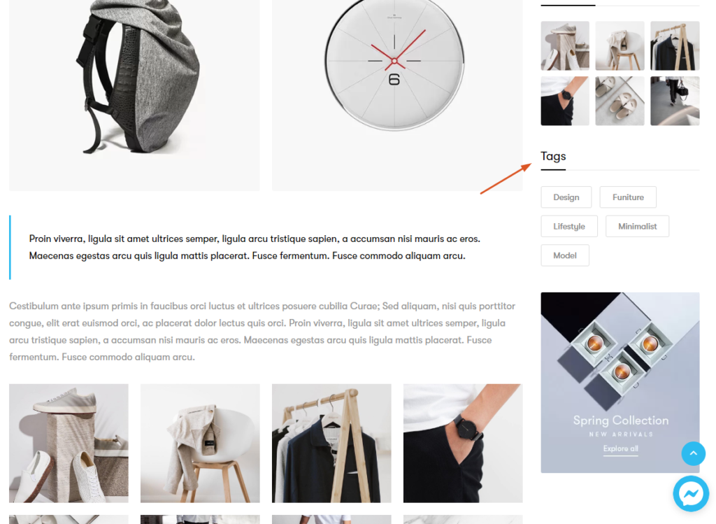 Product Tags in the Blog website