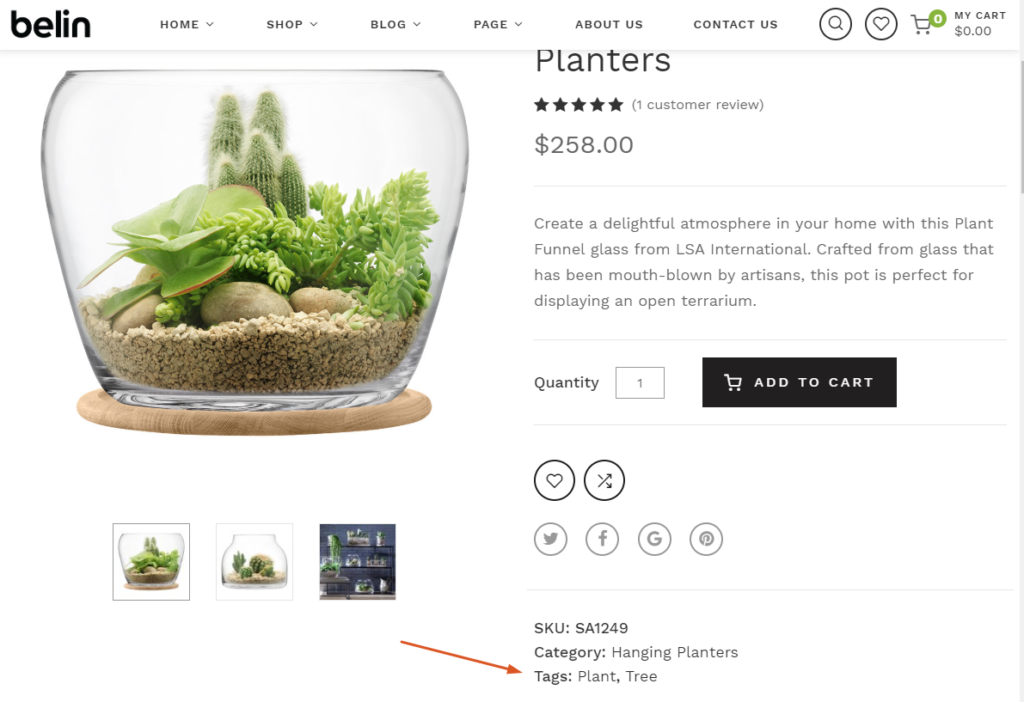Product Tags in the Front-end of Belin