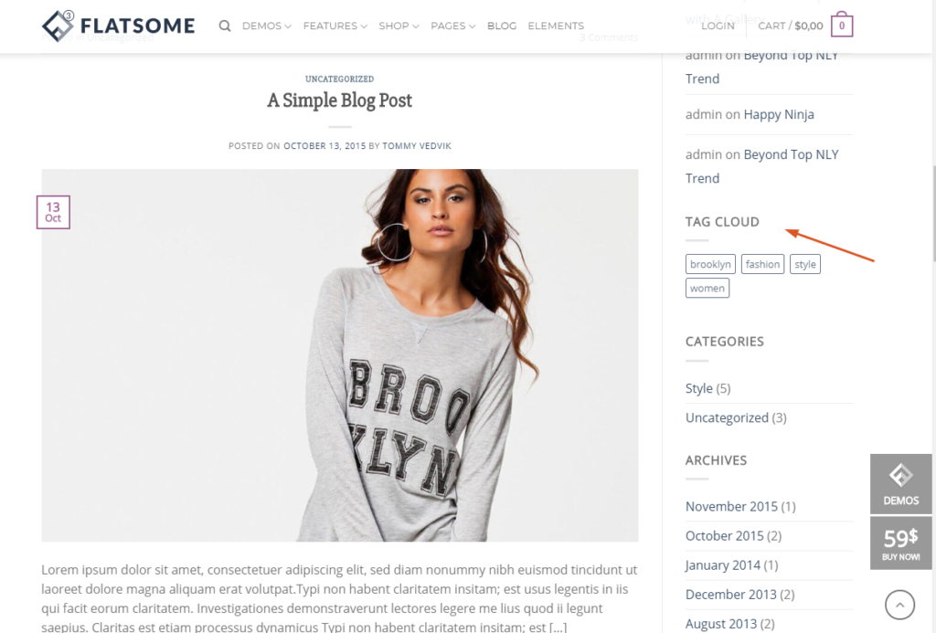 Product Tags in the Front-end of Flatsome