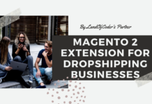 Magento 2 Dropshipping Business