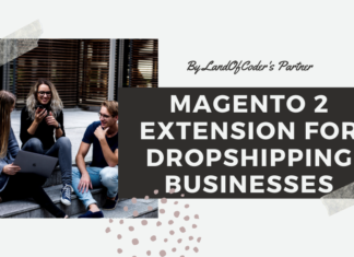 Magento 2 Dropshipping Business