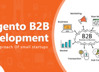 magento b2b development