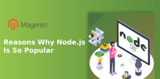 Reasons Why Node.js Is So Popular