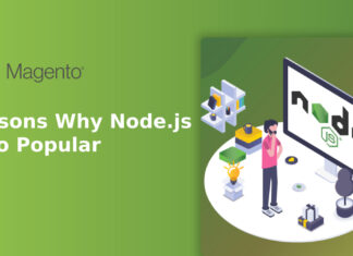 Reasons Why Node.js Is So Popular