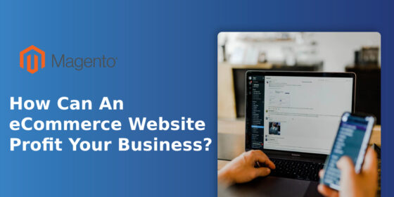 How Can An eCommerce Website Profit Your Business?