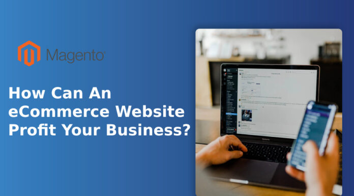 How Can An eCommerce Website Profit Your Business?