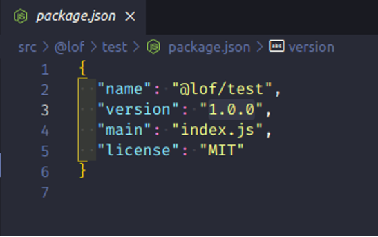 package.json