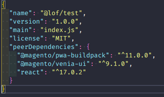 package.json 2