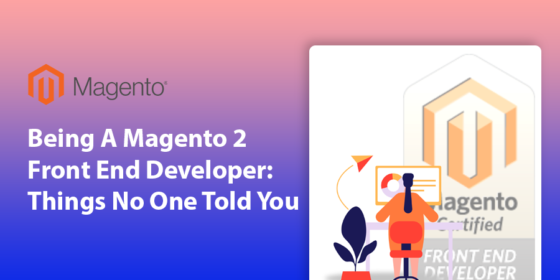 Being A Magento 2 Front End Developer: Things No One Told You