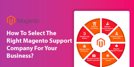 How To Select The Right Magento Support Company For Your Business?