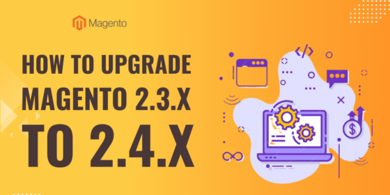 How to upgrade Magento 2.3 to 2.4