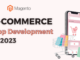 eCommerce App Development In 2023