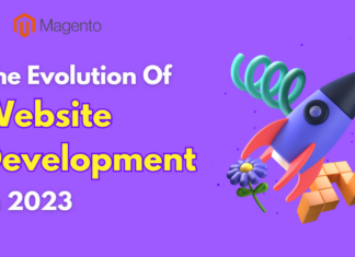 The evolution of website development