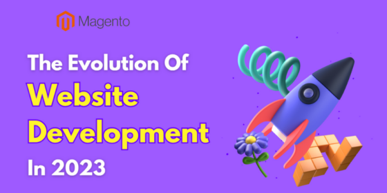 The evolution of website development