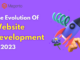 The evolution of website development