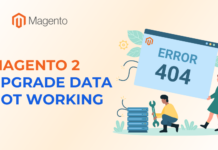 Magento 2 Upgrade Data Not Working