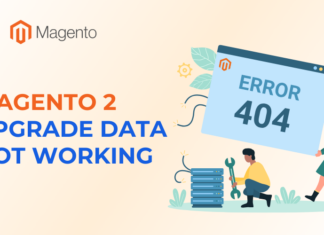 Magento 2 Upgrade Data Not Working