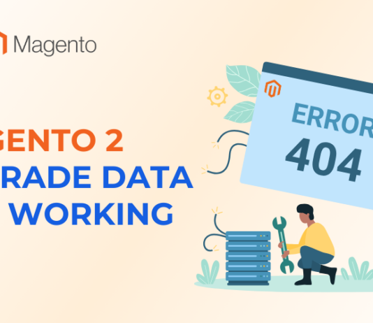 Magento 2 Upgrade Data Not Working