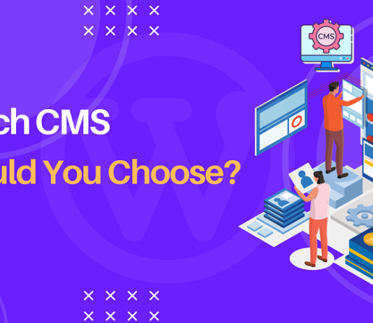 which-cms-you-should-choose-for-your-ecommerce-website