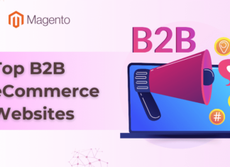 top-b2b-ecommerce-websites-in-the-usa (1)