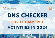 DNS checker for ecommerce activities