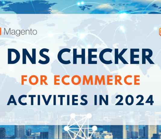 DNS checker for ecommerce activities