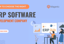 ERP software development company