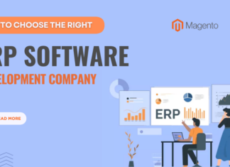 ERP software development company