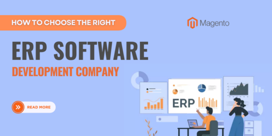 ERP software development company