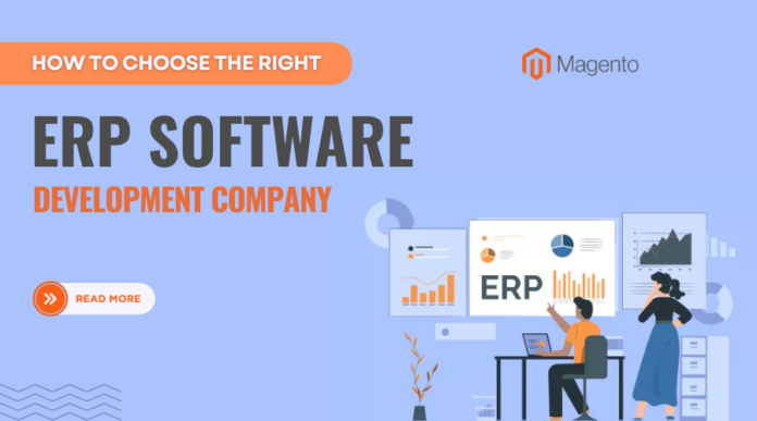 ERP software development company