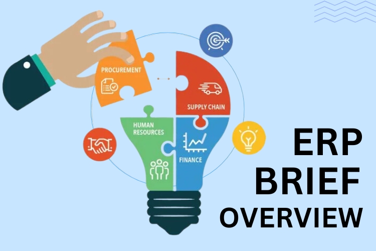 Enterprise Resource Planning (ERP) brief overview