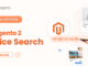 How to optimize Magento 2 Voice Search