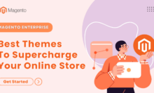 Best Magento Enterprise Themes