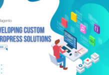 custom-wordPress-solutions