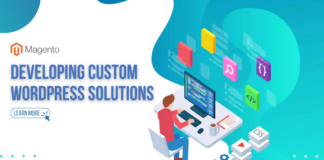 custom-wordPress-solutions