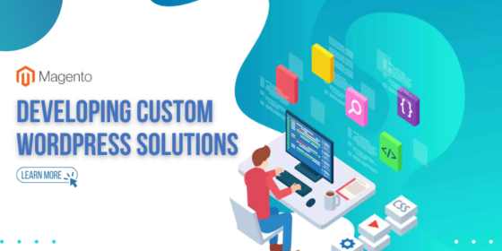 custom-wordPress-solutions