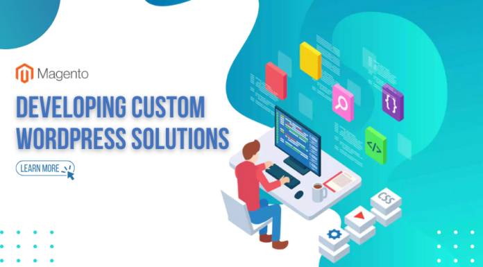 custom-wordPress-solutions