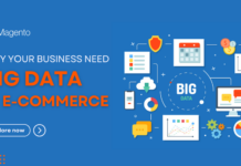 Big Data eCommerce