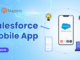 salesforce-mobile-app-customization