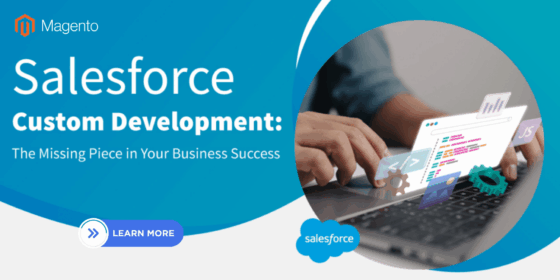 Salesforce Custom App Development